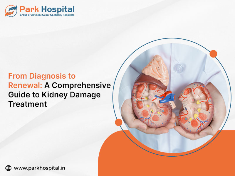 From Diagnosis to Renewal: A Comprehensive Guide to Kidney Damage Treatment